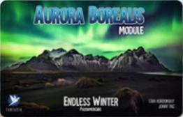 Endless Winter: Aurora Borealis - obrázek