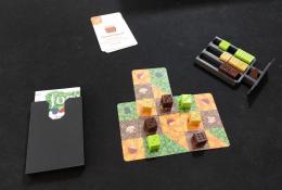 Forage: A 9 card solitaire game