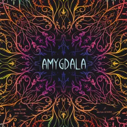 Amygdala