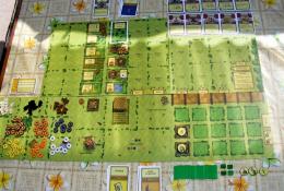 Agricola