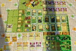 Agricola