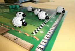 Sheep Race, The