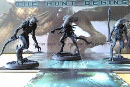 Alien vs Predator: The Hunt Begins